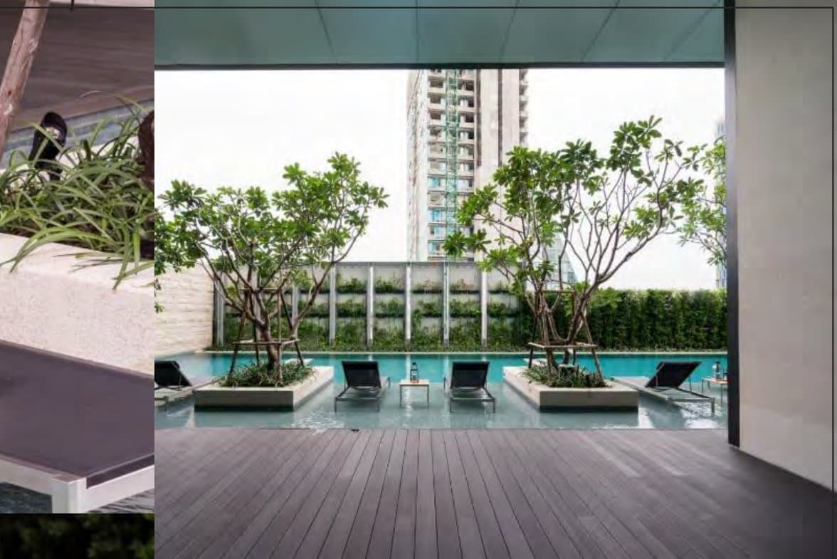 Poolside terrace framed by frangipani trees and a green living wall, black loungers on dark timber decking against a hazy skyline