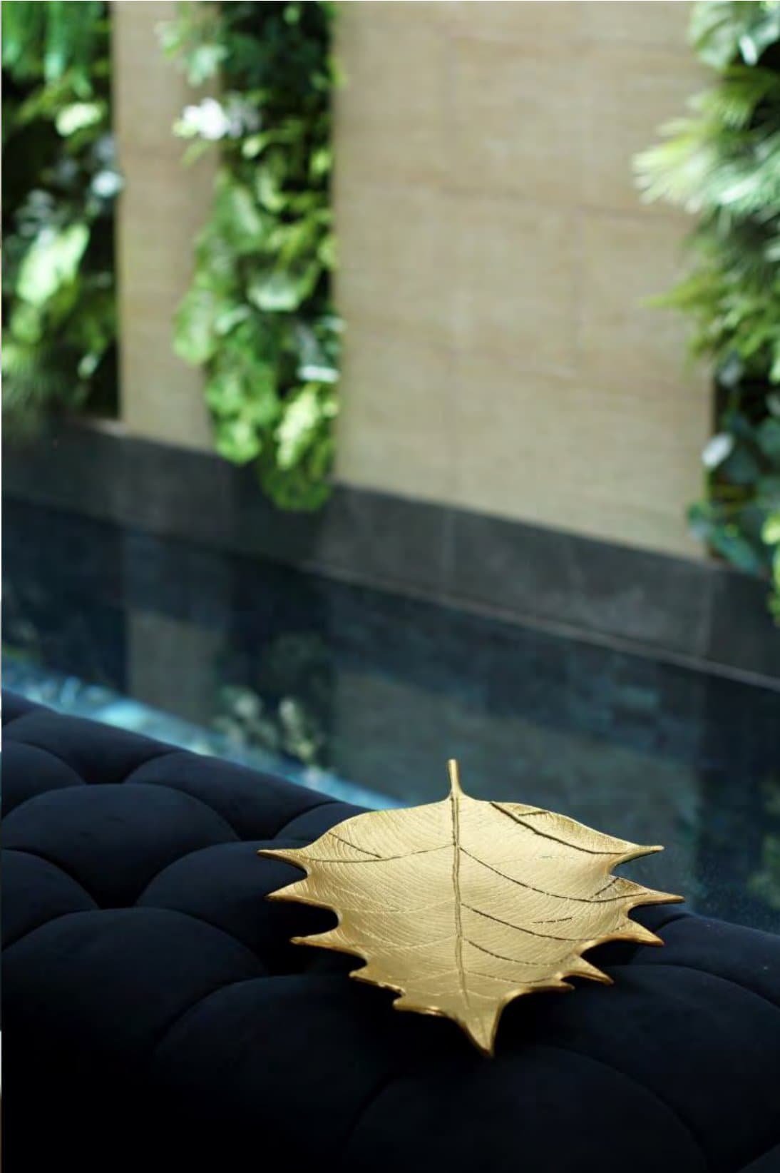 Gilded leaf-shaped dish resting on a navy tufted ottoman beside a black stone reflecting channel and a sunlit vertical garden
