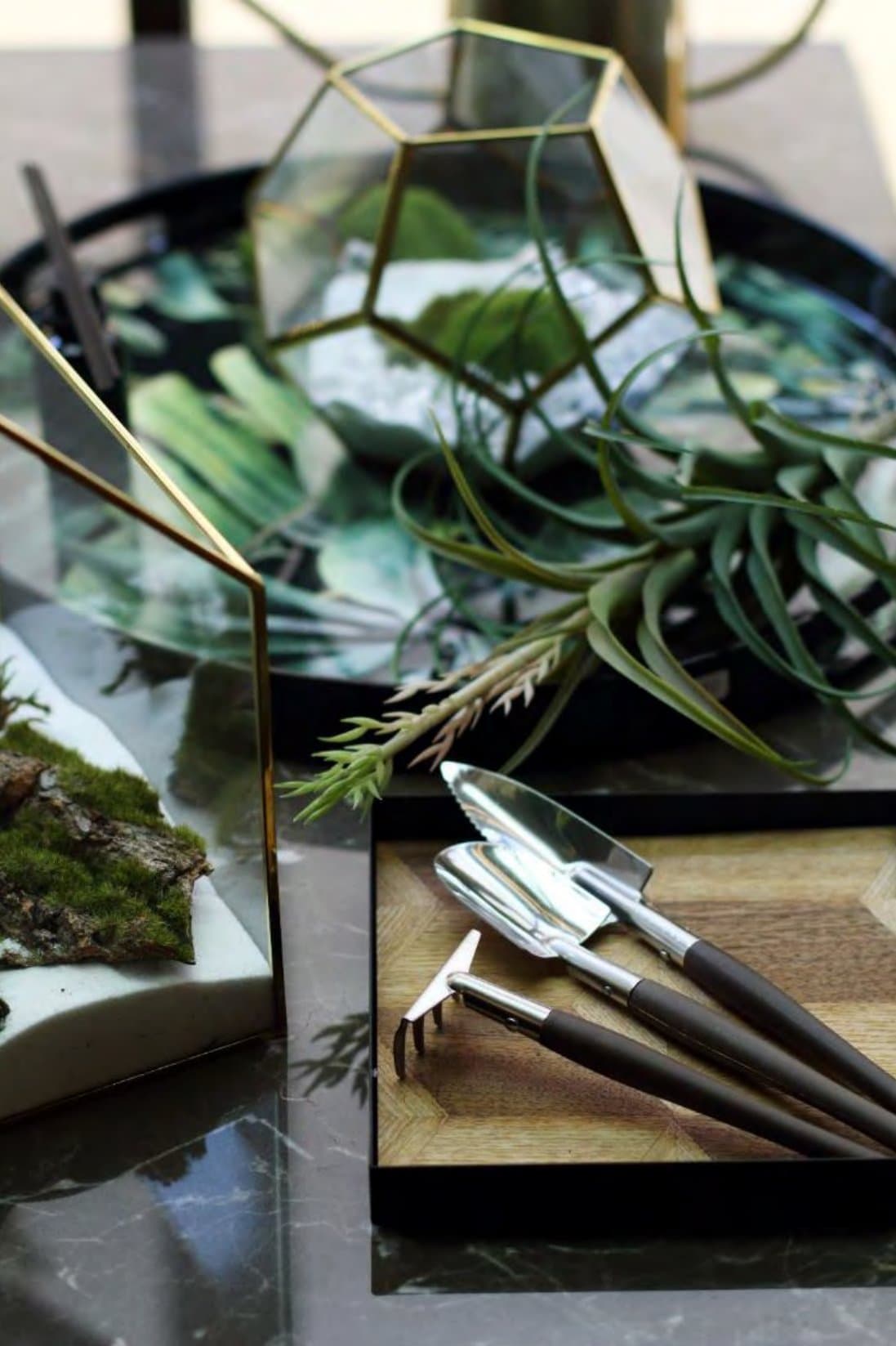 Styling detail of a brass-framed glass terrarium, trailing air plants and miniature garden tools on a dark marble tabletop